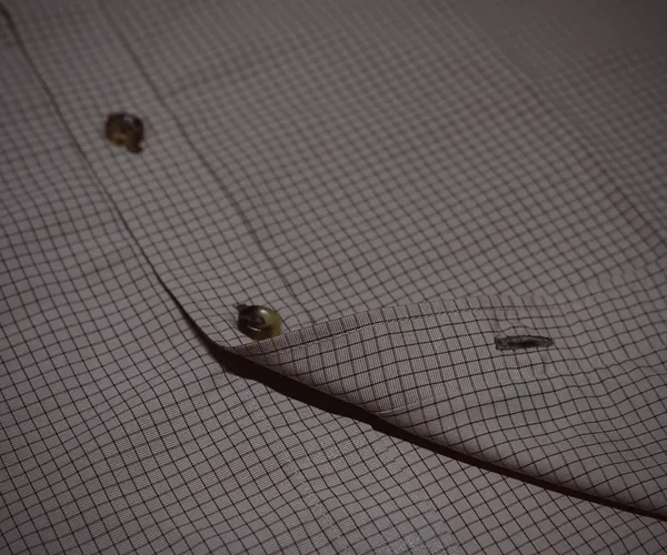 Oxford Shirt: detail